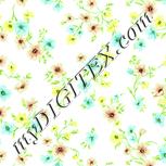 Colour:K
