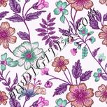 Colour:B