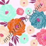 Colour:B