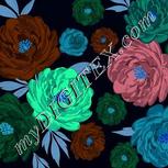 Colour:F