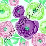 Colour:C