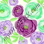 Colour:D