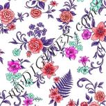Colour:B