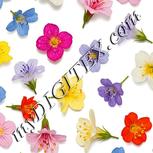 Colour:A