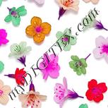 Colour:B