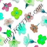 Colour:C