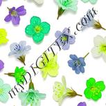 Colour:D