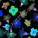 Colour:F