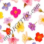 Colour:J