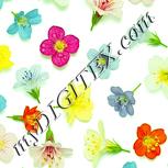 Colour:K
