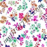 Colour:B