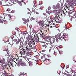 Colour:B