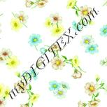 Colour:K
