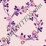 Colour:B