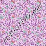 Colour:B