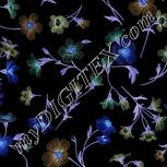 Colour:F