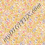 Colour:J