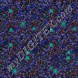 Colour:F