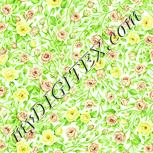 Colour:K