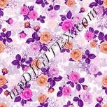 Colour:B