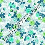 Colour:C