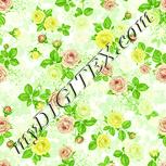 Colour:K