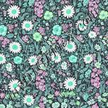 Colour:C