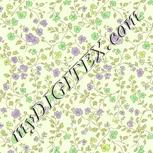 Colour:D