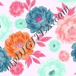 Colour:B