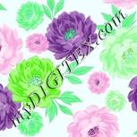 Colour:C