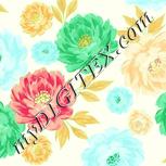 Colour:K