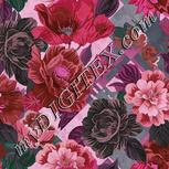 Colour:B