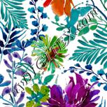 Colour:A