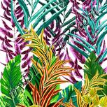 Colour:A
