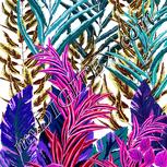 Colour:B