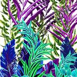 Colour:C