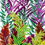 Colour:D