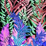 Colour:F