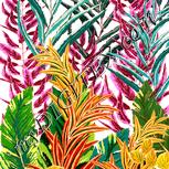 Colour:J