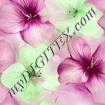 Colour:C