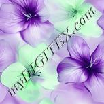 Colour:D