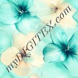 Colour:K