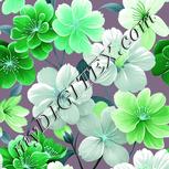 Colour:C