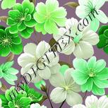 Colour:D