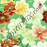 Colour:K