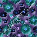 Colour:F