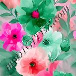 Colour:B