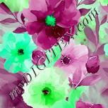 Colour:C