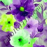 Colour:D