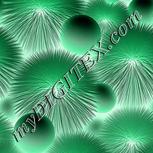 Colour:F